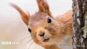 Concerns raised over impact of quad bikes on wildlife
