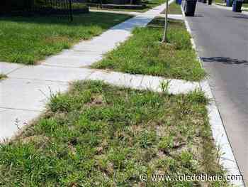 Residents like new sidewalks, upset with turf restoration results