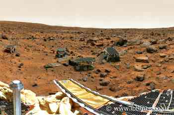 Entomologist Claims NASA Rover Photos Reveal 'Winged, Flying Insects' and Reptiles on Mars
