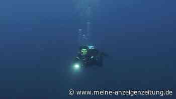 Jahrzehnte verschwunden – seltene Tierart könnte ins Mittelmeer zurückkehren