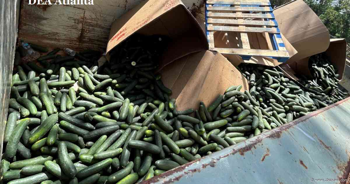 2 men sentenced after 700 pounds of meth found hidden in cucumber shipment, DOJ says