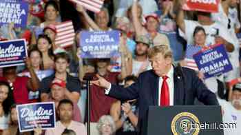 Democratic strategist: 'something's going on' when Trump 'can only deliver 52 percent' in South Carolina