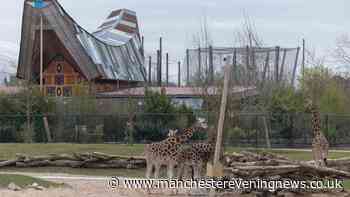 Chester Zoo announces return of £10 tickets and extends opening hours