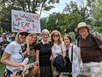 The Passing of a Tireless Advocate for Animals