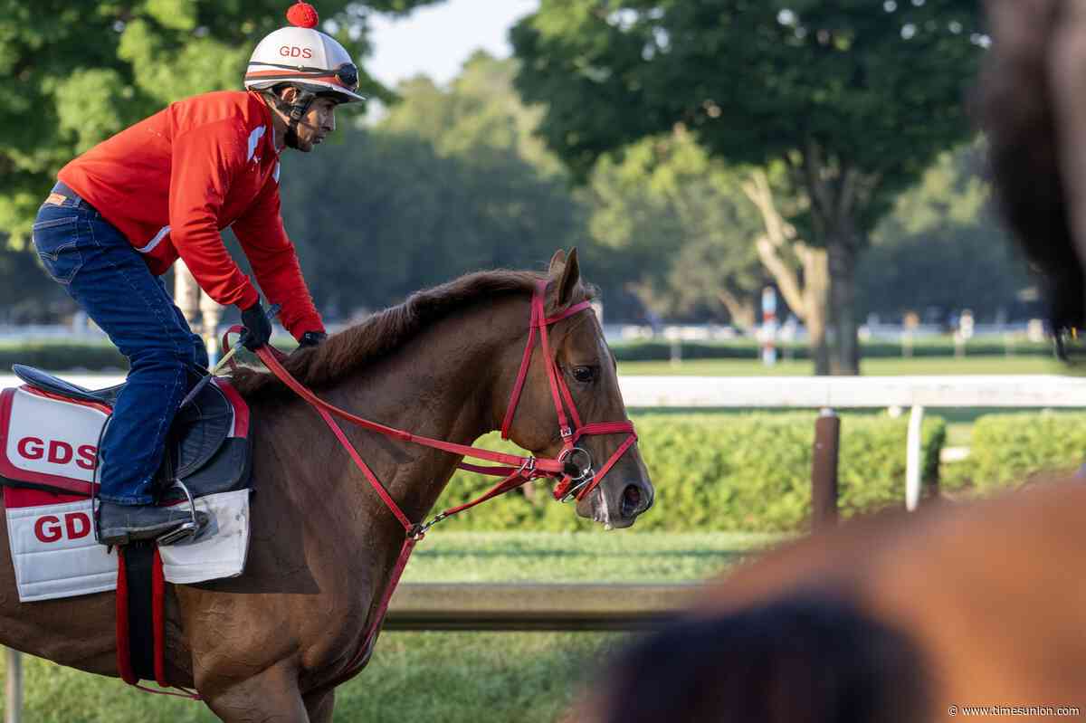 The Puma looms as a contender for Saratoga's Travers Stakes