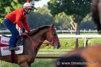 The Puma looms as a contender for Saratoga's Travers Stakes