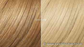 Victoria Beckham's hairstylist backs £10 fix for 'wow' blonde hair without damage