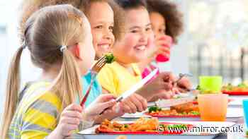 Free school meals are changing from this September - what you need to know