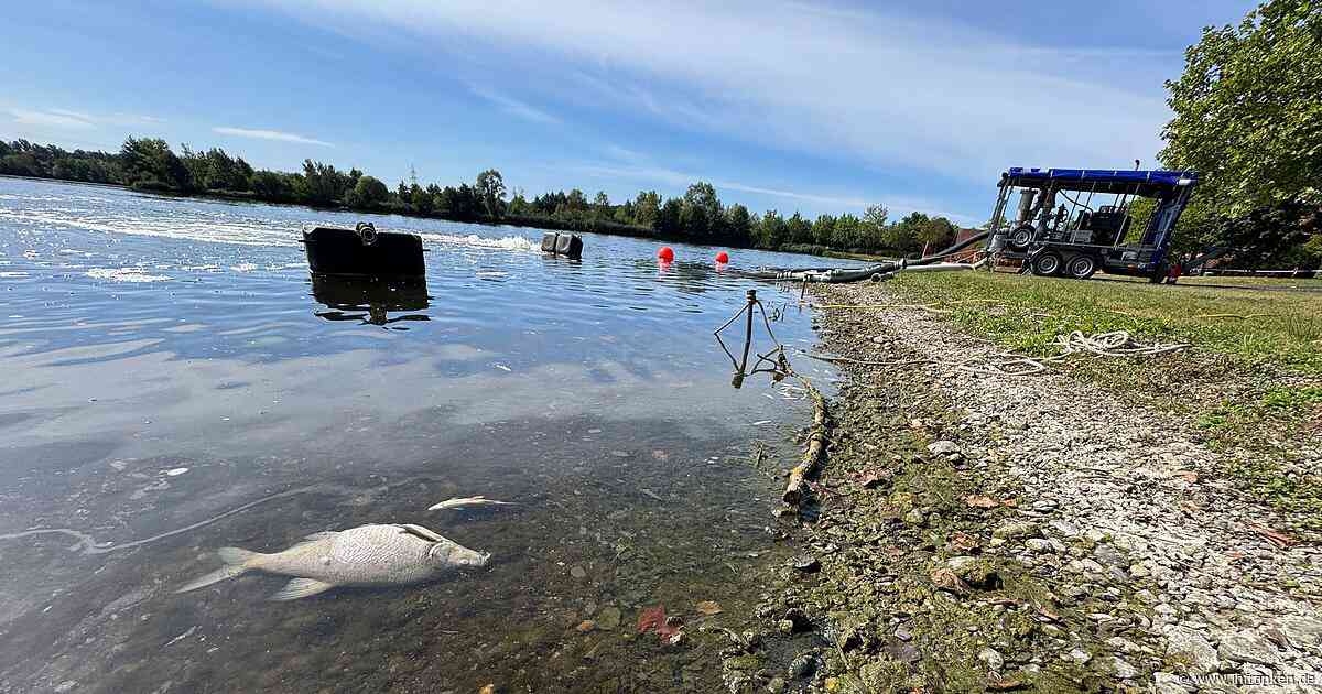 Kulmbacher Kieswäsch: Nach plötzlichem Fischsterben - so ist die aktuelle Lage