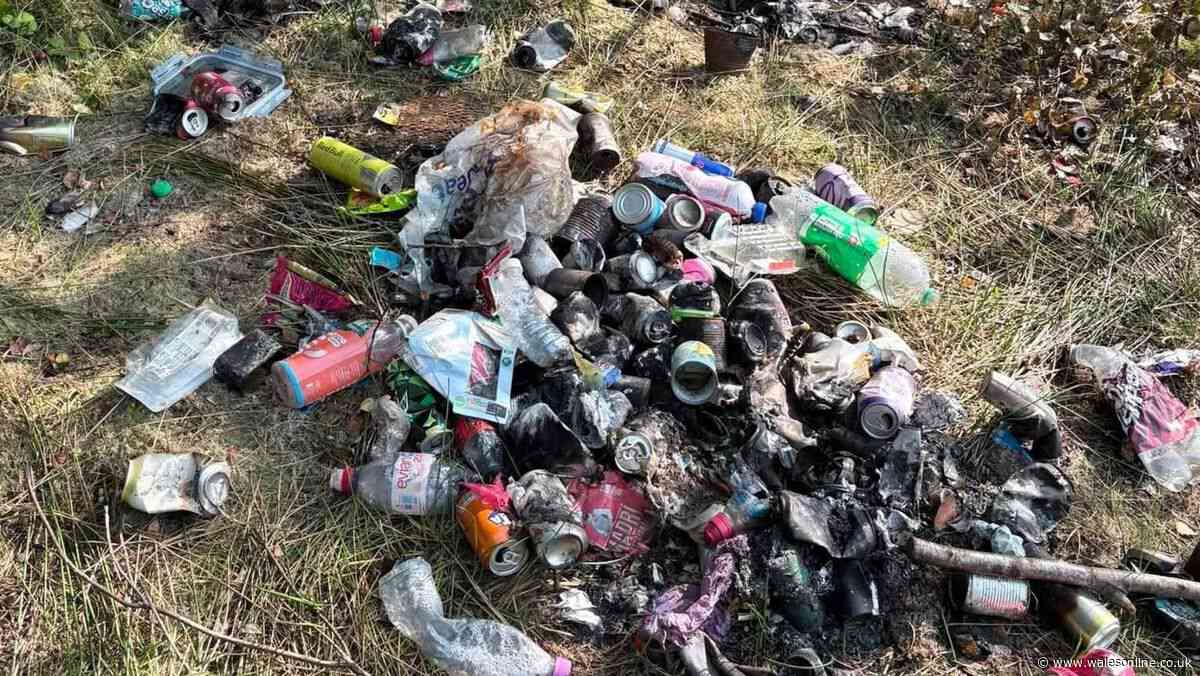 Walkers 'mortified' as piles of waste dumped at Cefn-Cwrt Reservoir