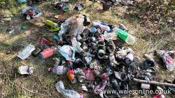 Walkers 'mortified' as piles of waste dumped at Cefn-Cwrt Reservoir