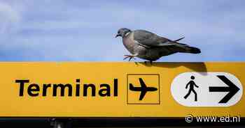 Milieuclubs eisen snelle stikstofmaatregelen op Eindhoven Airport
