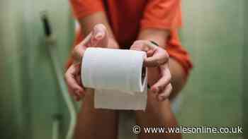 'I'm a doctor and this is why using your phone on the loo could damage your health'