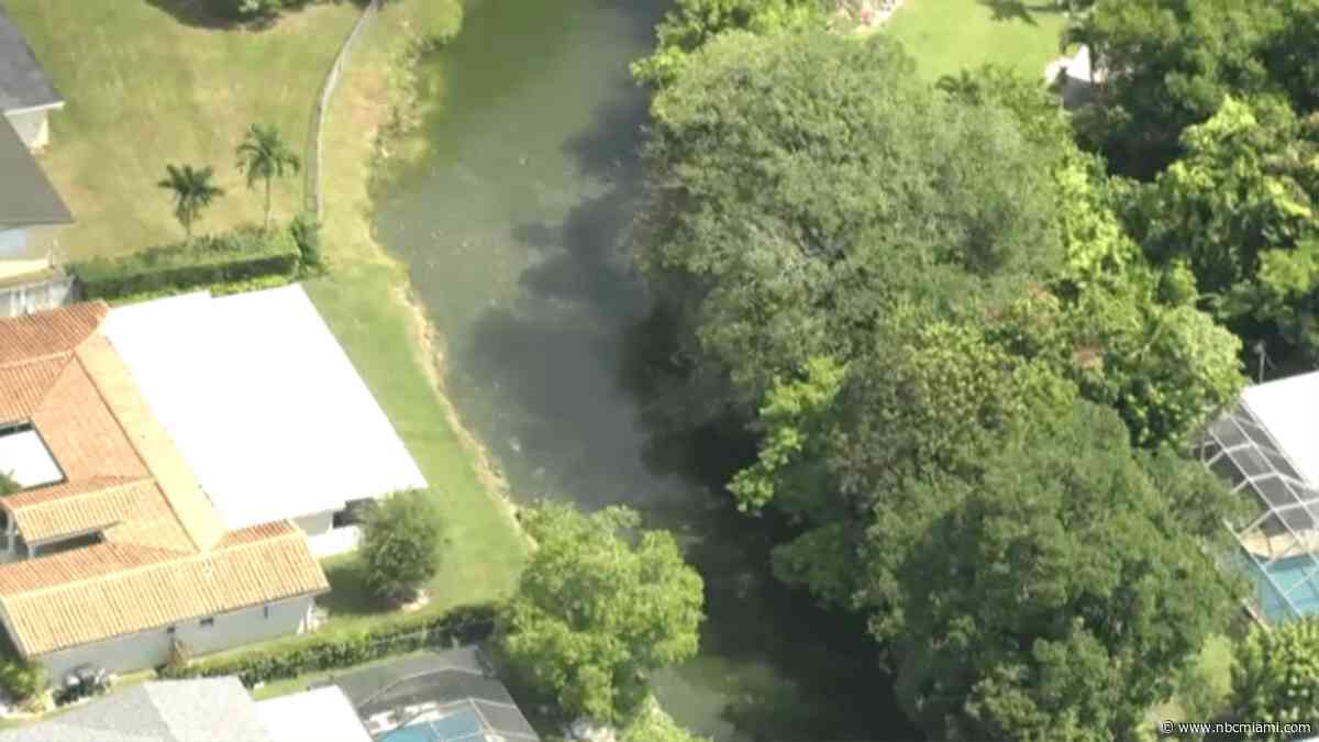 South Miami Police warn residents after dog killed in reported crocodile attack