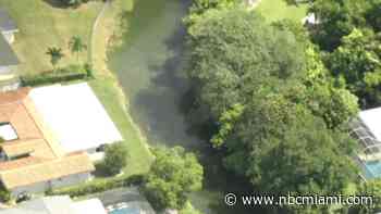South Miami Police warn residents after dog killed in reported crocodile attack