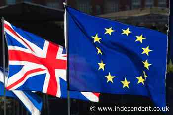Surge in people applying for British citizenship after Brexit as numbers hit record high