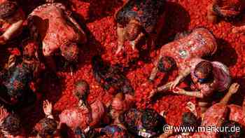 La Tomatina 2026 in Bildern: Tomatenchaos überflutet Buñols Straßen