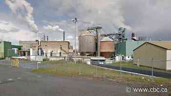 Hope remains for 2 Vancouver Island pulp mills despite recent industry turmoil