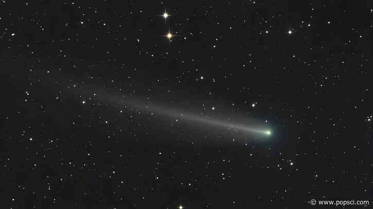 Look up! Now’s your chance to spot an unusually luminous comet
