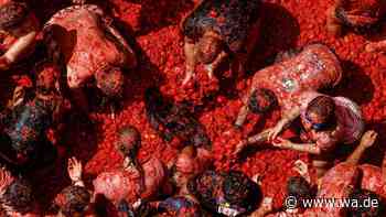 La Tomatina 2026 in Bildern: Tomatenchaos überflutet Buñols Straßen
