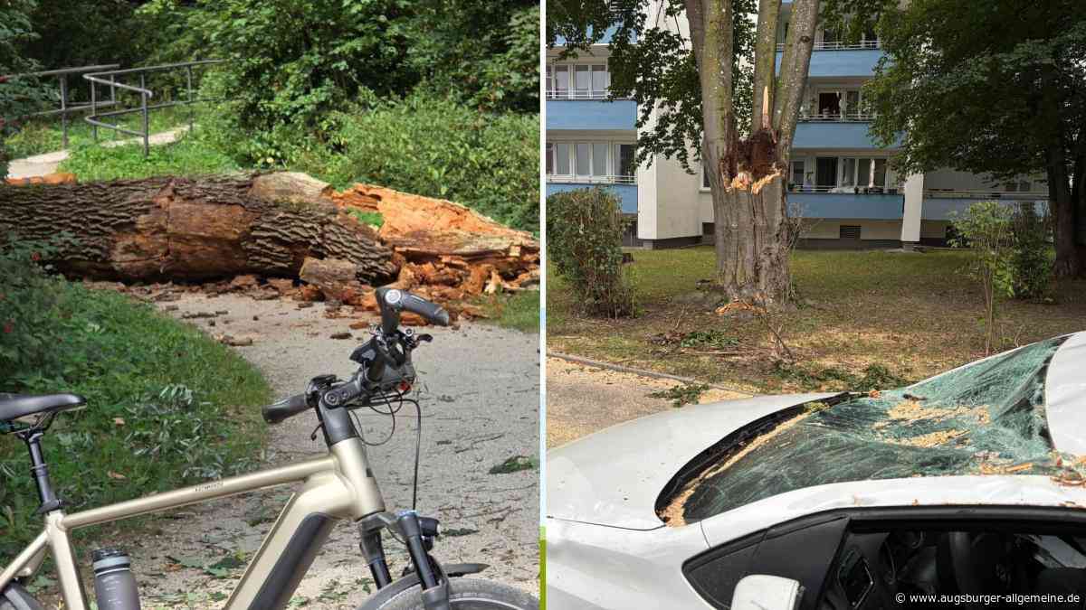 Dramatische Baumstürze in Göggingen: Radler entgehen nur knapp einer Katastrophe