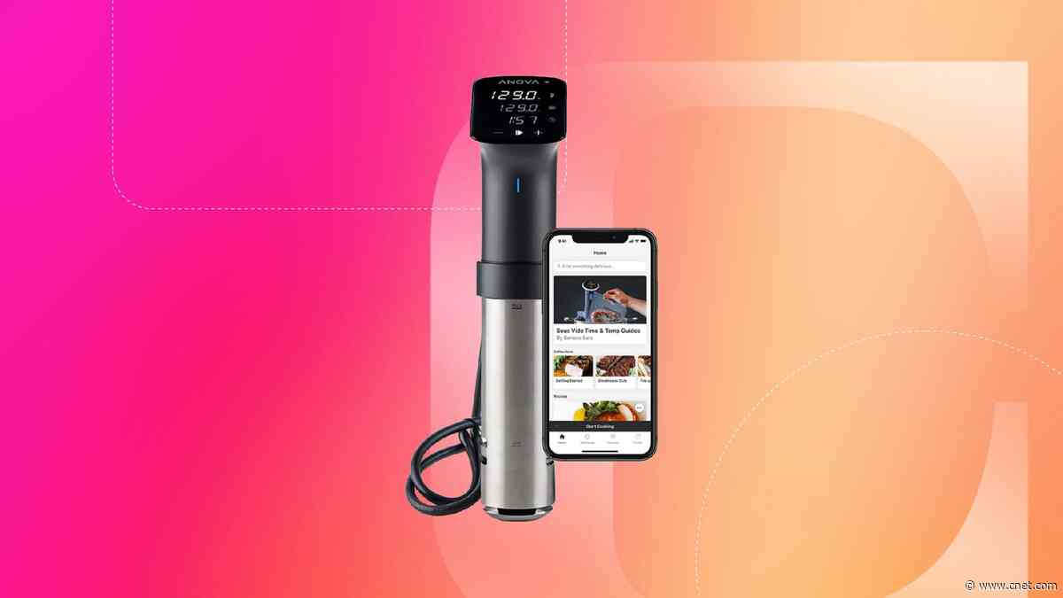 Feel Like a Professional Chef at Amateur Prices With $260 Off This Anova Sous Vide