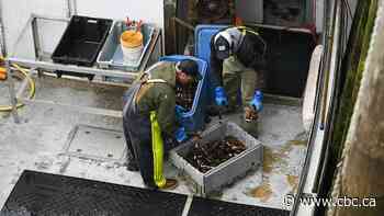 Canadian seafood industry 'relieved' with removal of their products from retaliatory tariff list