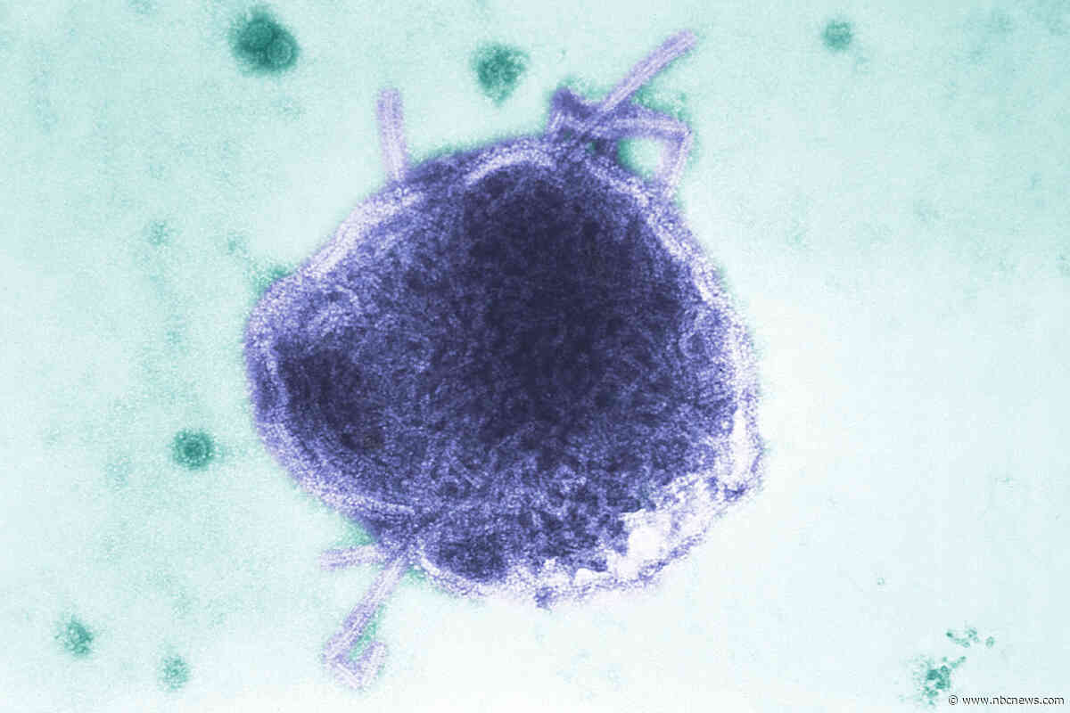 Infant in Pennsylvania is one of two people reported to die of measles this week