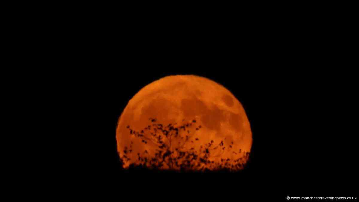 Will you have clear skies for the lunar eclipse? Check your postcode