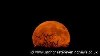Will you have clear skies for the lunar eclipse? Check your postcode