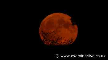 Will you see the Blood Moon tonight? Check the forecast for your postcode