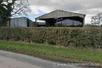 Father and son who died after falling into slurry tank on farm named