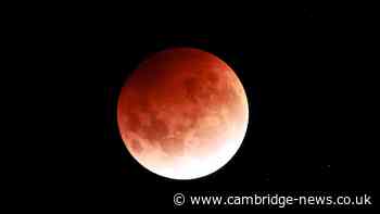 Check your postcode to see if you'll have clear skies for the Blood Moon