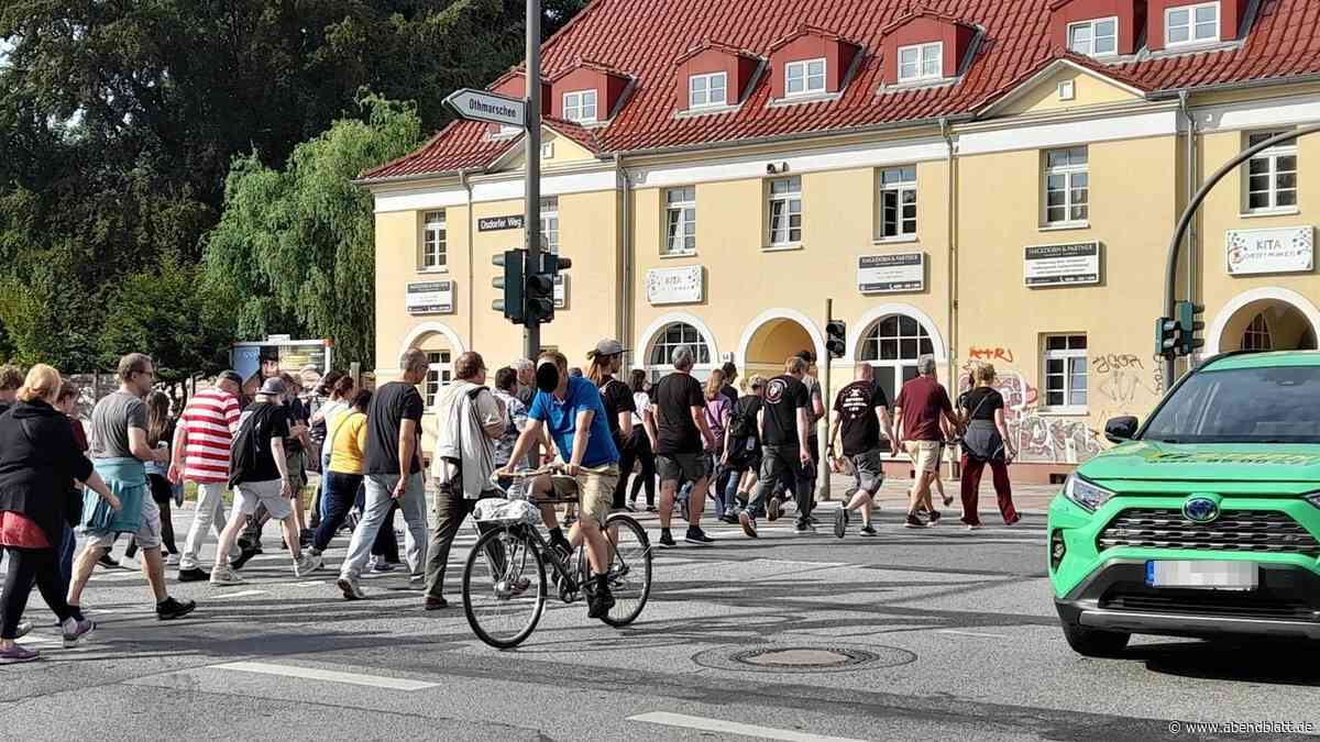 Stau auf A7 und im Elbtunnel: Die Toten Hosen-Fans pilgern zu Fuß durch Hamburg