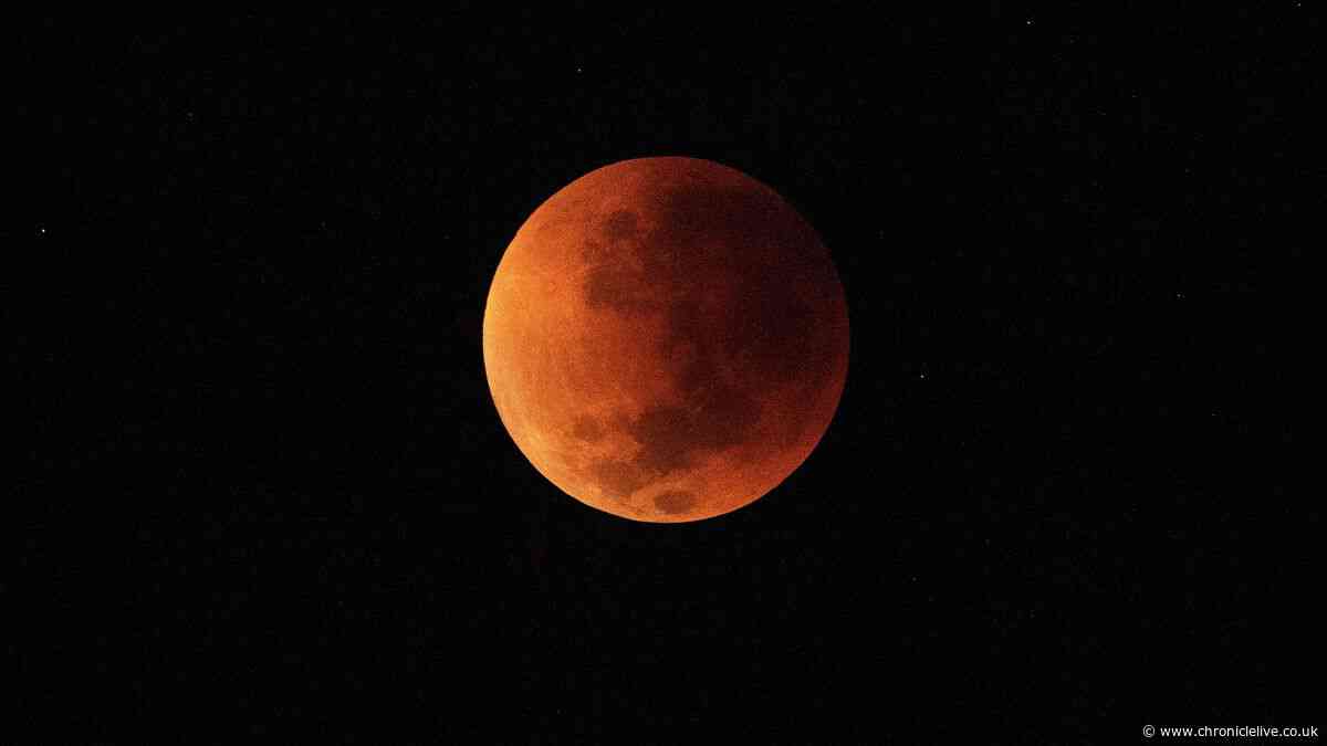 Can you see the lunar eclipse from where you live? Check your postcode