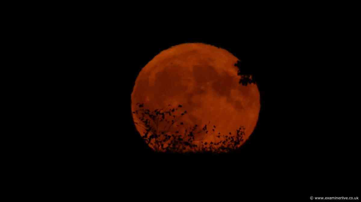 Will you see the Blood Moon tonight? Check the forecast for your postcode