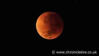Can you see the lunar eclipse from where you live? Check your postcode
