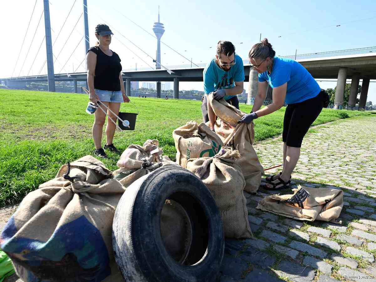 Müllsammeln für sauberen Rhein in Düsseldorf