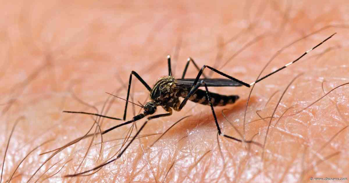 Mosquitos trapped at multiple Fulton County parks test positive for West Nile virus