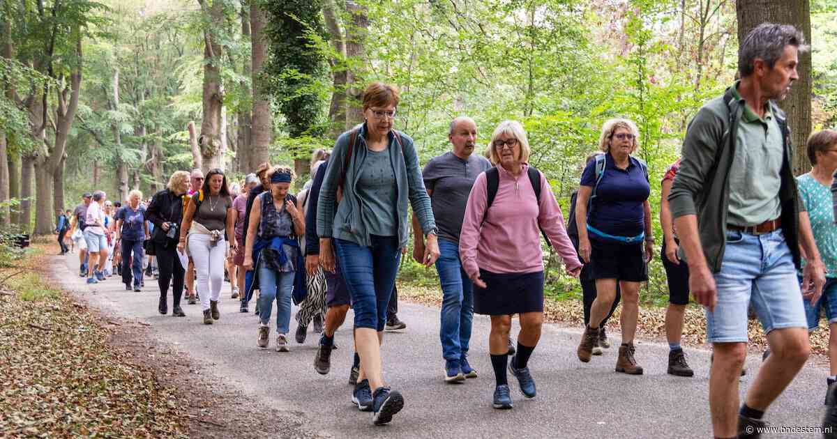 Dorpenloop Woensdrecht slaat aan, maar wie helpt bij het organiseren? ‘Dit evenement moet absoluut blijven’