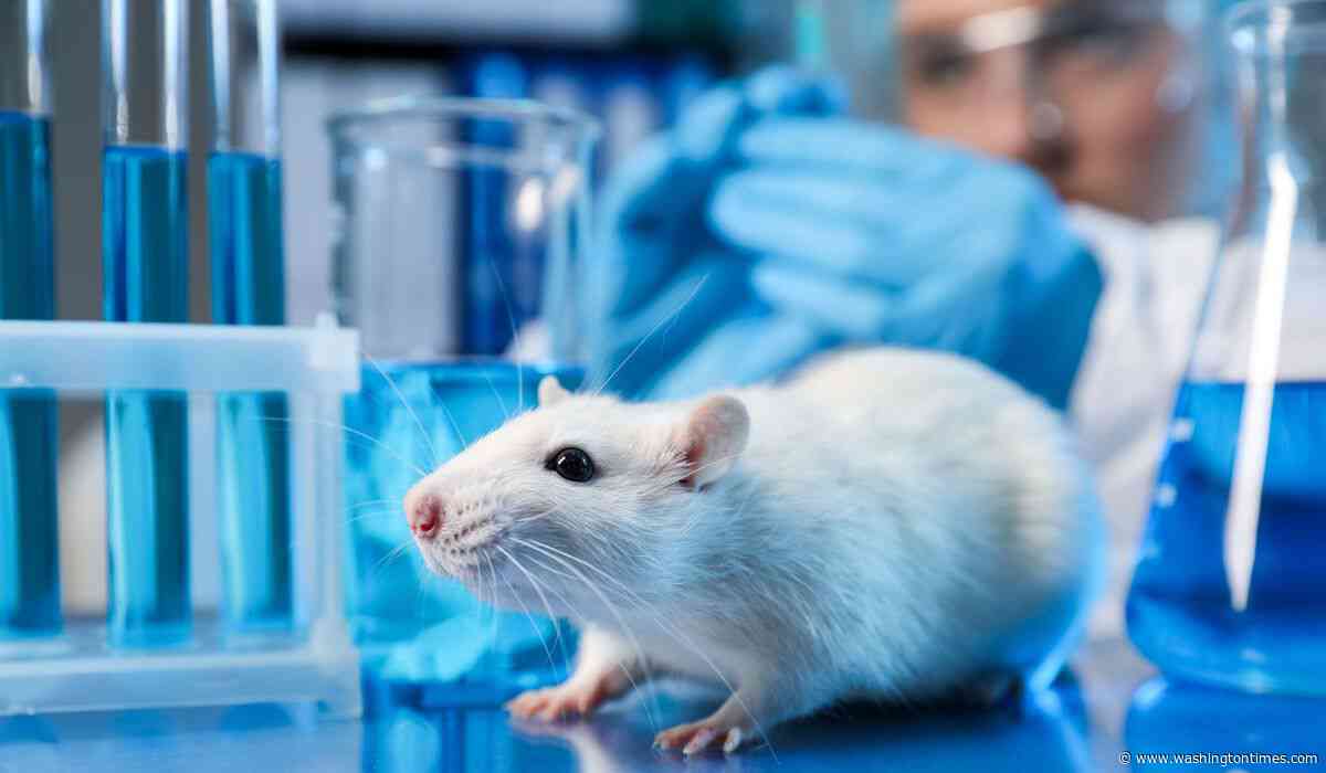 EPA debuts 'major' advances in non-animal testing; on track for 2035 phaseout of tests on mammals