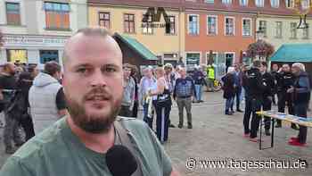Die AfD und ihre Streamer