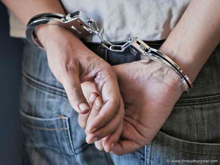 Nepean man accused of luring Sudbury children