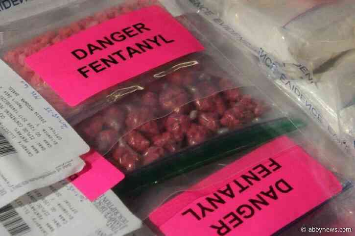 Abbotsford sees nearly double-digit jump in drug deaths