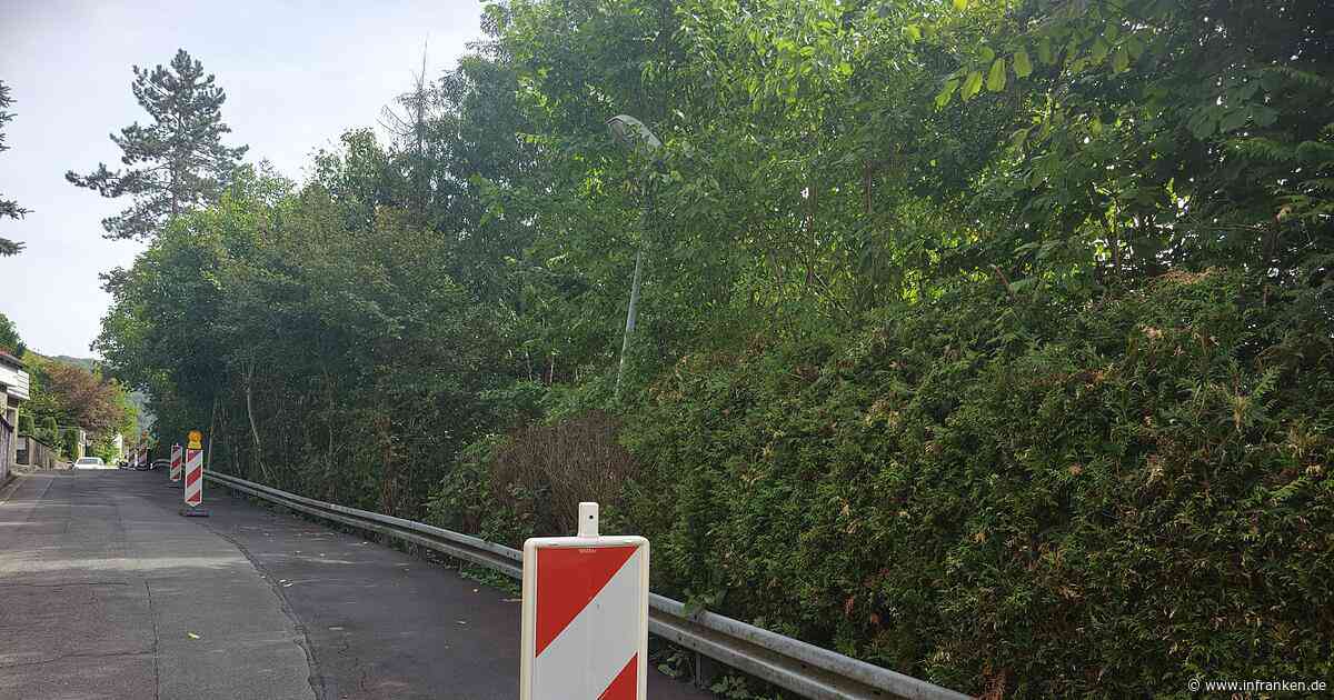 Hang bewegt sich: Ebermannstadt sichert gefährdete Straßen ab