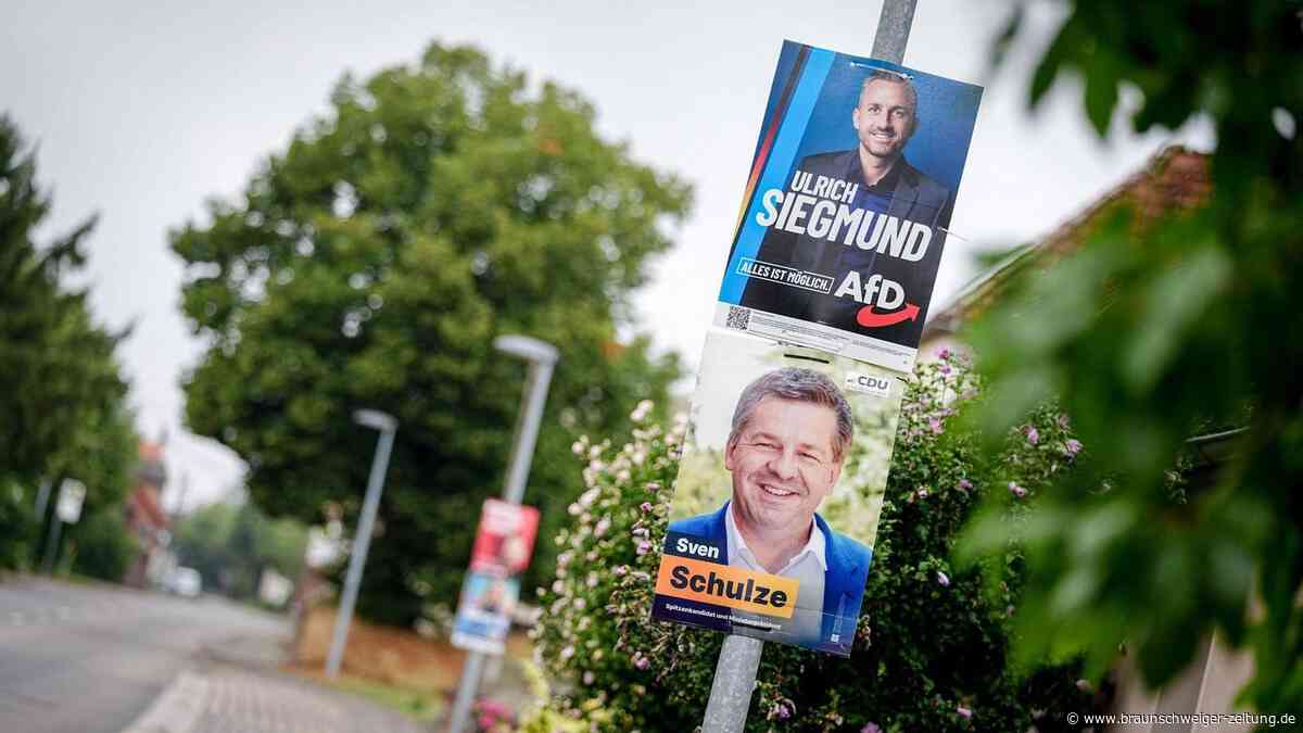 Sachsen-Anhalt: Wenn die „Flachzange“ ein politisches Werkzeug wird