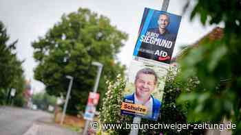 Sachsen-Anhalt: Wenn die „Flachzange“ ein politisches Werkzeug wird
