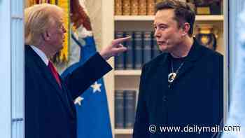 Elon Musk's wild final night in West Wing: Rebel aide reveals what REALLY happened in snug office... the nauseating texts... and why Trump snapped
