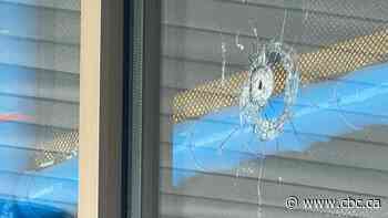 Several shots fired at children's play place in Windsor overnight