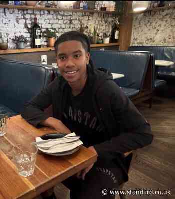 Pictured: Teen, 17, stabbed to death at London council HQ as boy, 15, charged with his murder